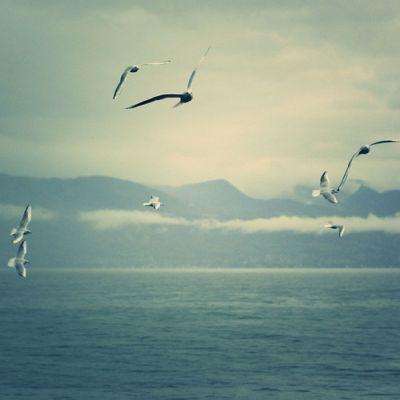 星空体育网站入口